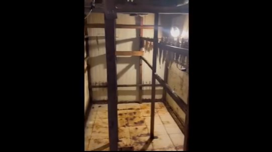 В Калининградской области выявили подпольное производство рыбы