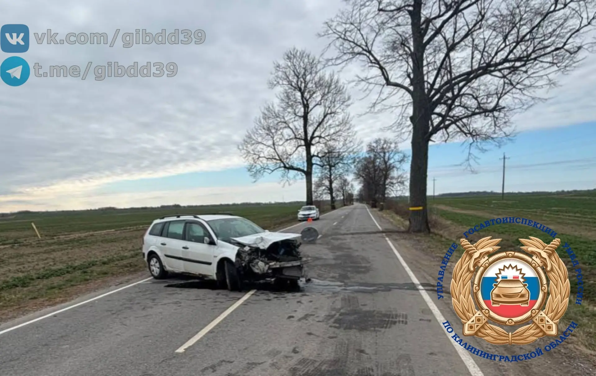 В Нестеровском районе водитель врезалась в дерево