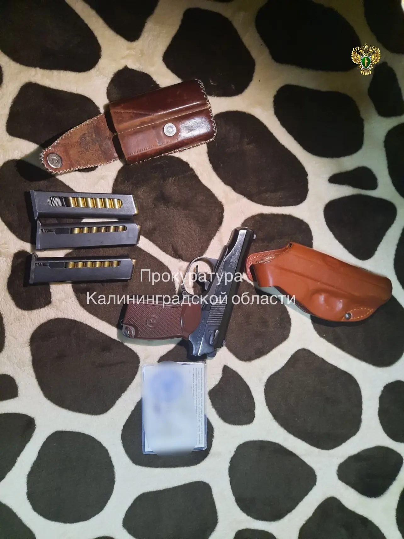 Калининградца будут судить за стрельбу во дворе жилого дома на Портовой