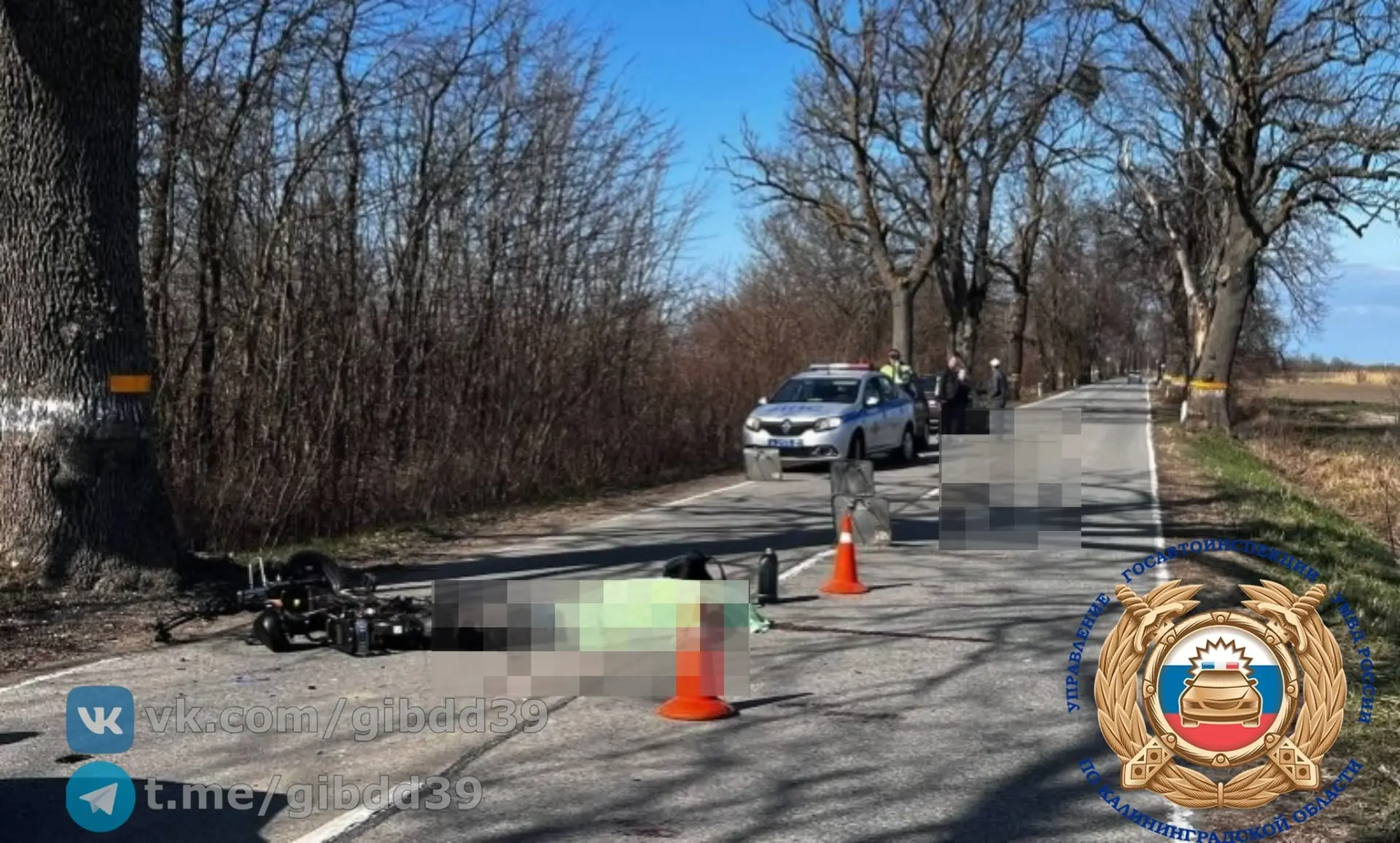 В Гурьевском районе водитель электровелосипеда погиб после столкновения с деревом В Гурьевском районе водитель электровелосипеда погиб после столкновения с деревом