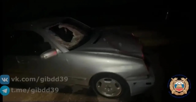 Полиция завела уголовное дело на водителя, который насмерть сбил пешехода под Гусевом