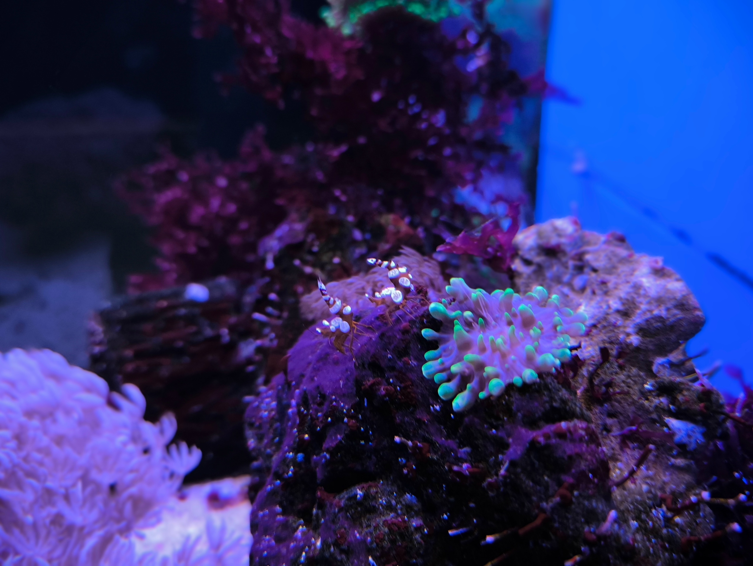 voob2vfgqtvobbifzxssvhqpsyf6qigyn21ctprysocp xohdcrpvvesvak144ybivrsaedgkii69bre5tg3si5t