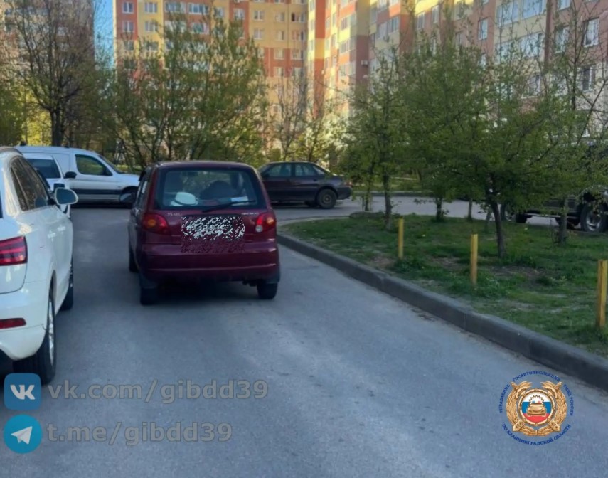 Ребёнок выбежал из-за машины: в Калининграде 7-летний пешеход попал под авто