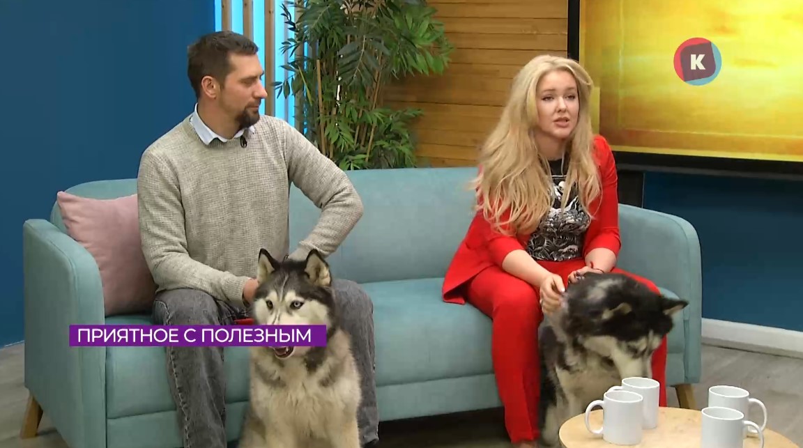 Дети из Правдинского приюта учатся социализироваться благодаря собакам