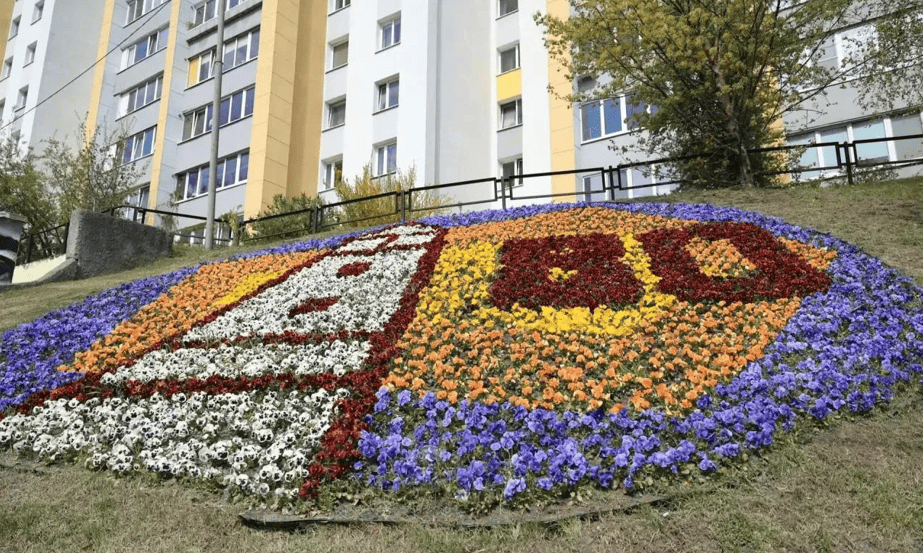 Калининград украшают цветниками к 80-летию региона