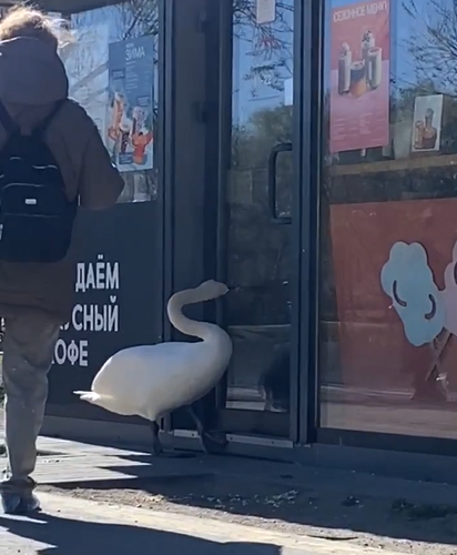 не пускает клиентов