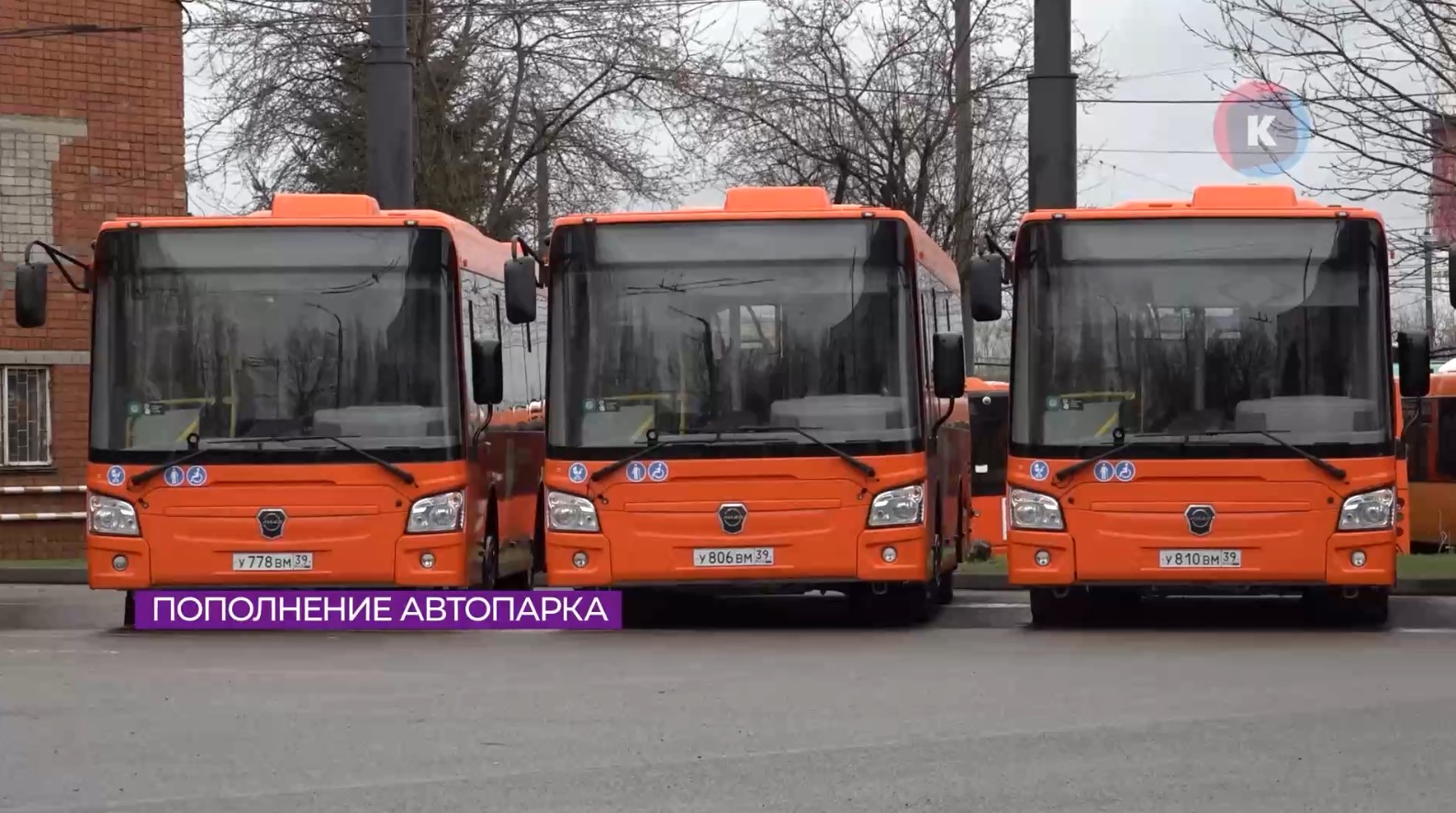 Калининград-ГорТранс пополнил автопарк новыми автобусами Калининград-ГорТранс пополнил автопарк новыми автобусами