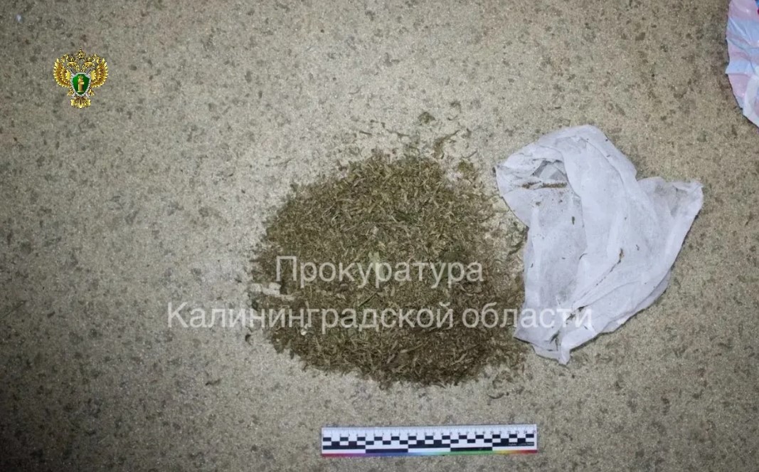 3,5 года колонии получил житель Краснознаменского района за хранение наркотиков