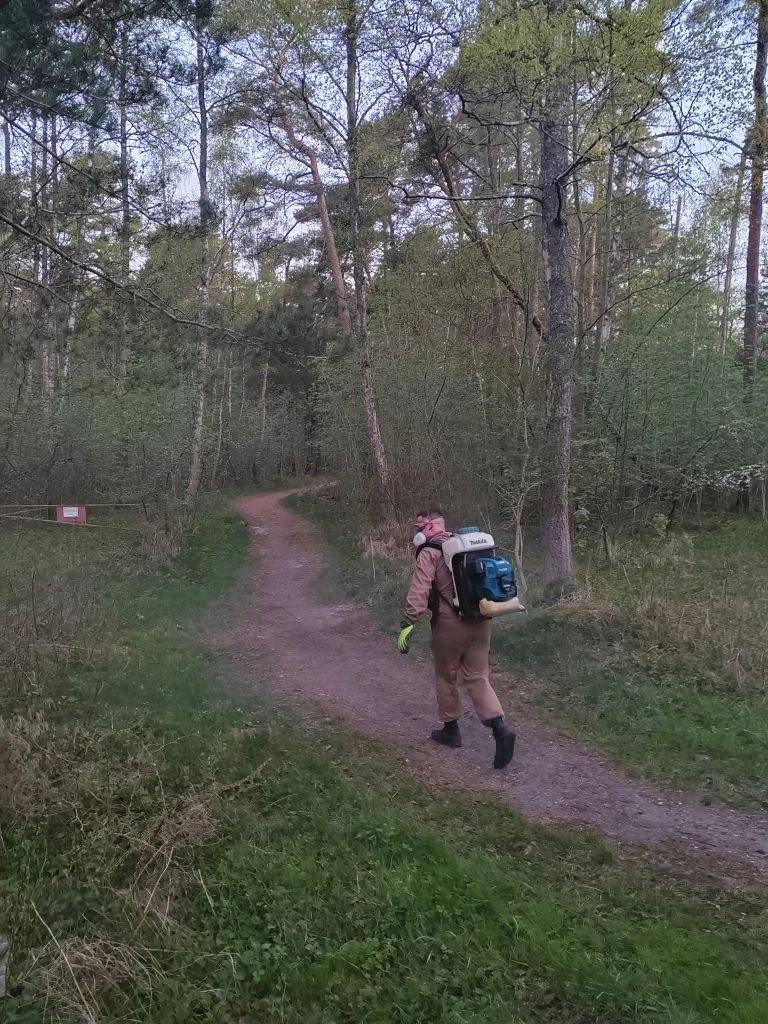 Куршскую косу обработали от клещей