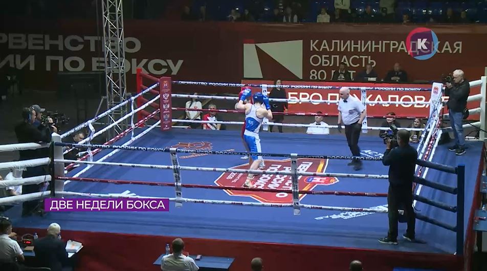 Три представителя Калининграда выиграли домашнее первенство России 2026 по боксу