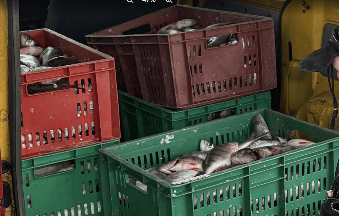 Калининградская транспортная полиция задержала похитителей рыбы