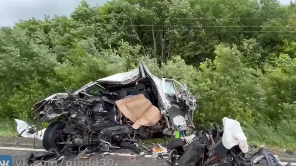 В Зеленоградском округе водитель погиб после наезда на придорожное дерево