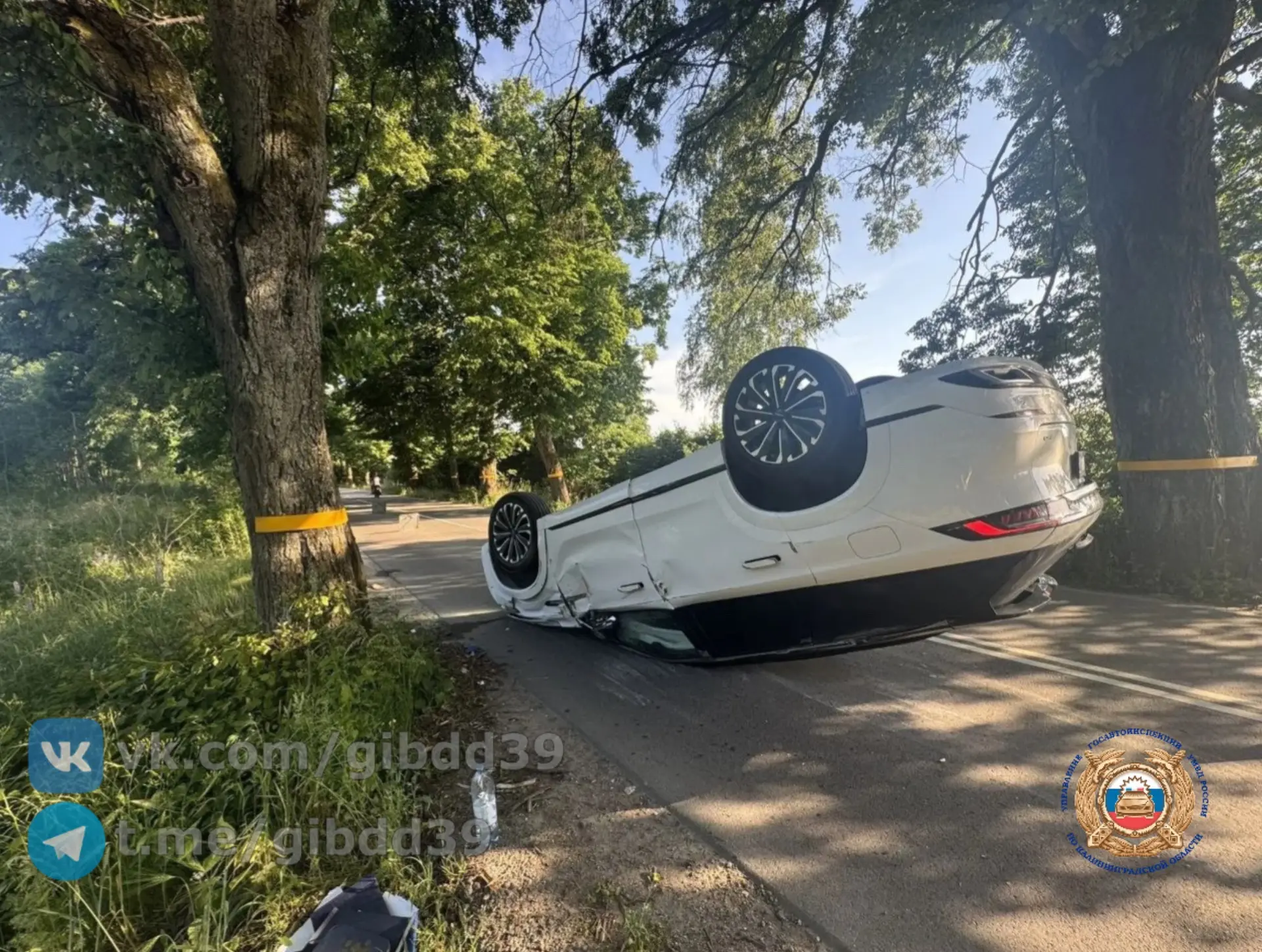 В Зеленоградском районе автомобиль врезался в дерево и перевернулся