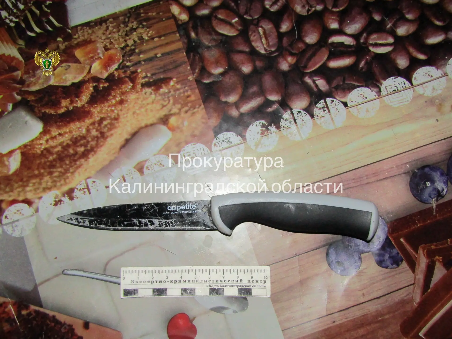 Жительницу Немана будут судить за то, что она три раза ударила ножом в живот мужа
