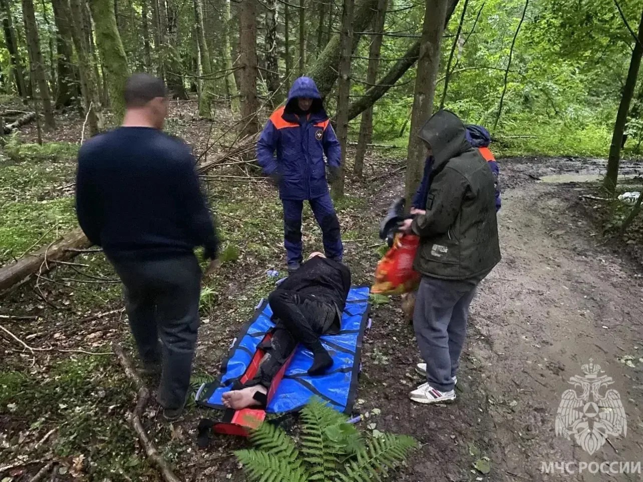 1,5 километра с носилками по лесу: калининградские спасатели помогли рыбаку со сломанной ногой 1,5 километра с носилками по лесу: калининградские спасатели помогли рыбаку со сломанной ногой