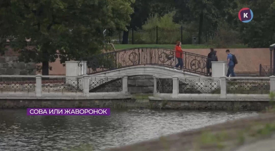 Калининградцы поделились своим распорядком дня