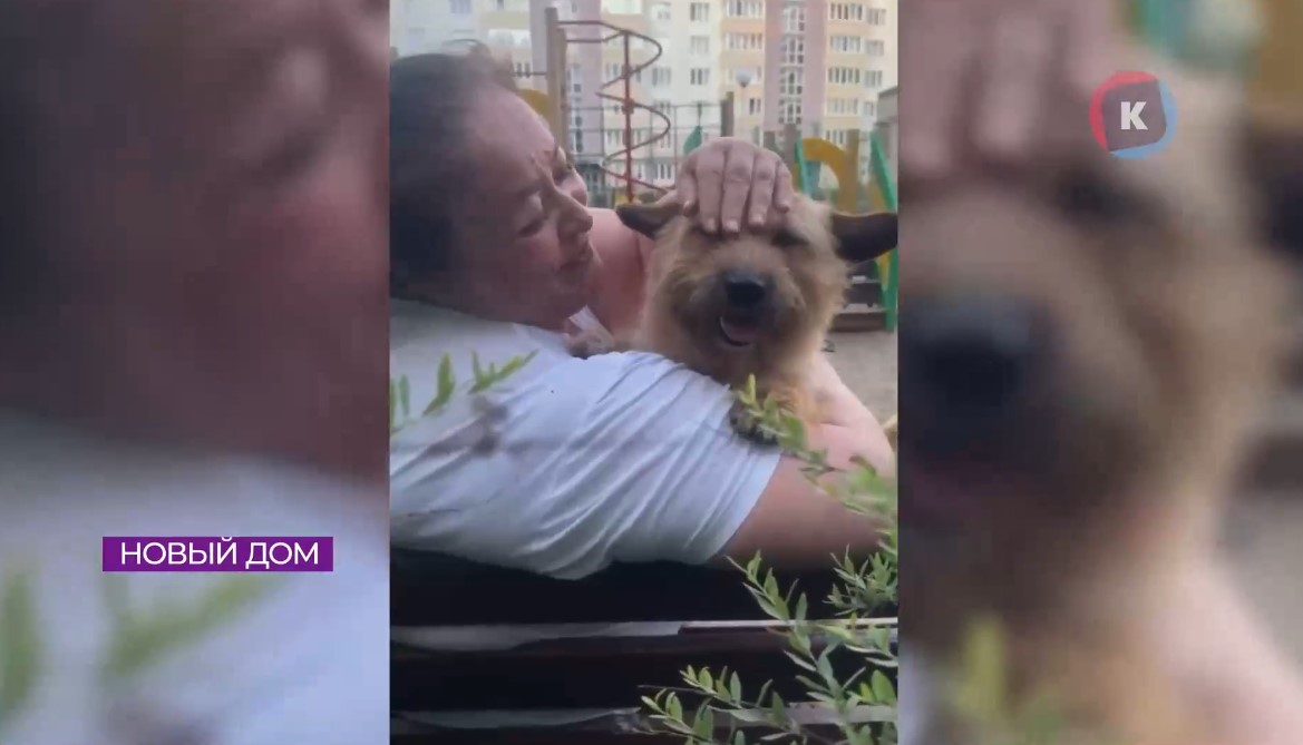 У пионерского Хатико появился хозяин