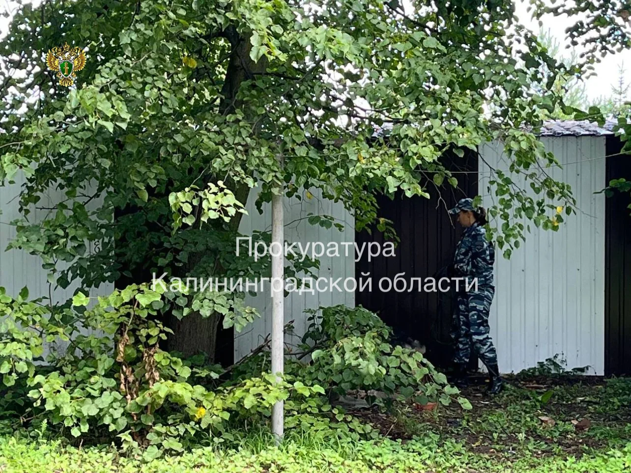 Жительницу Калининграда будут судить по делу об убийстве новорожденного ребёнка