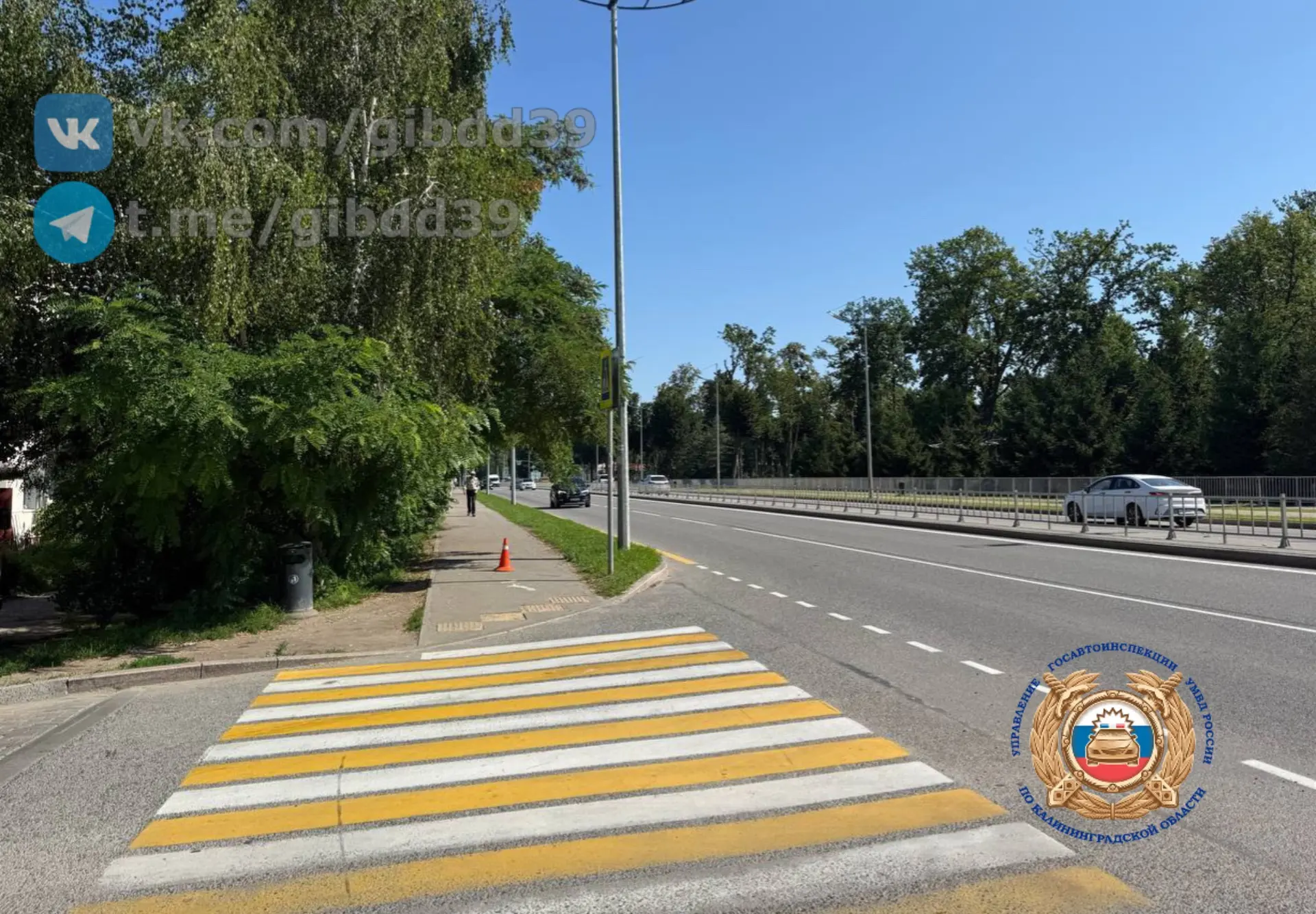 В Гурьевске разыскивают водителя электросамоката, который сбил пенсионерку и скрывшегося
