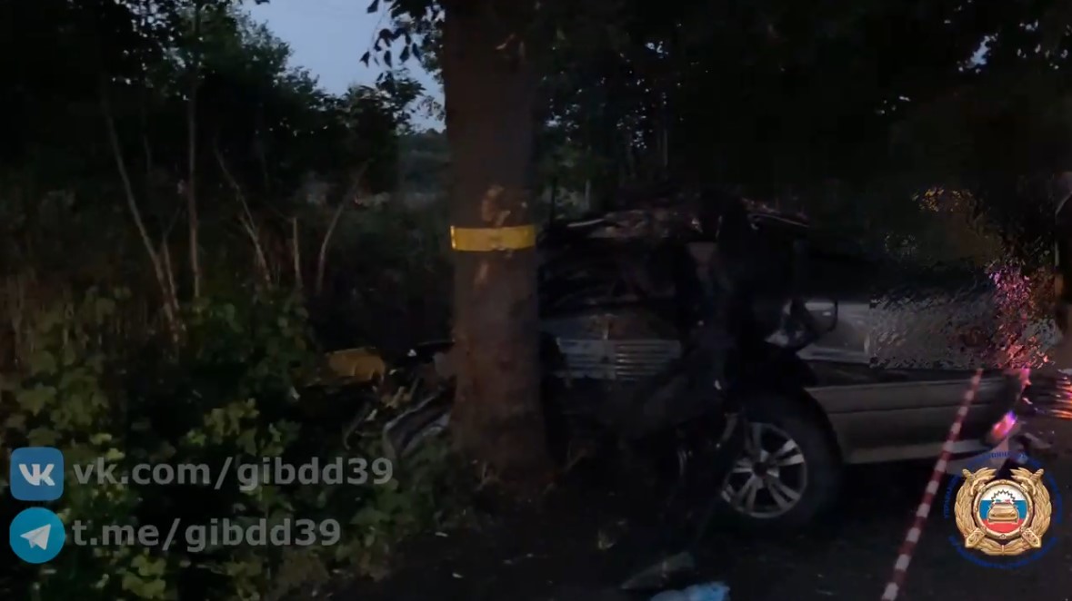 Три человека погибли в ДТП в Зеленоградском районе Три человека погибли в ДТП в Зеленоградском районе