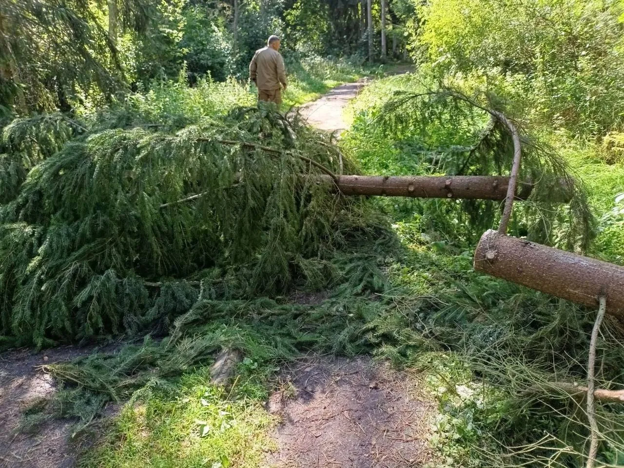 Сотрудники Куршской косы призвали временно не пользоваться велодорожкой