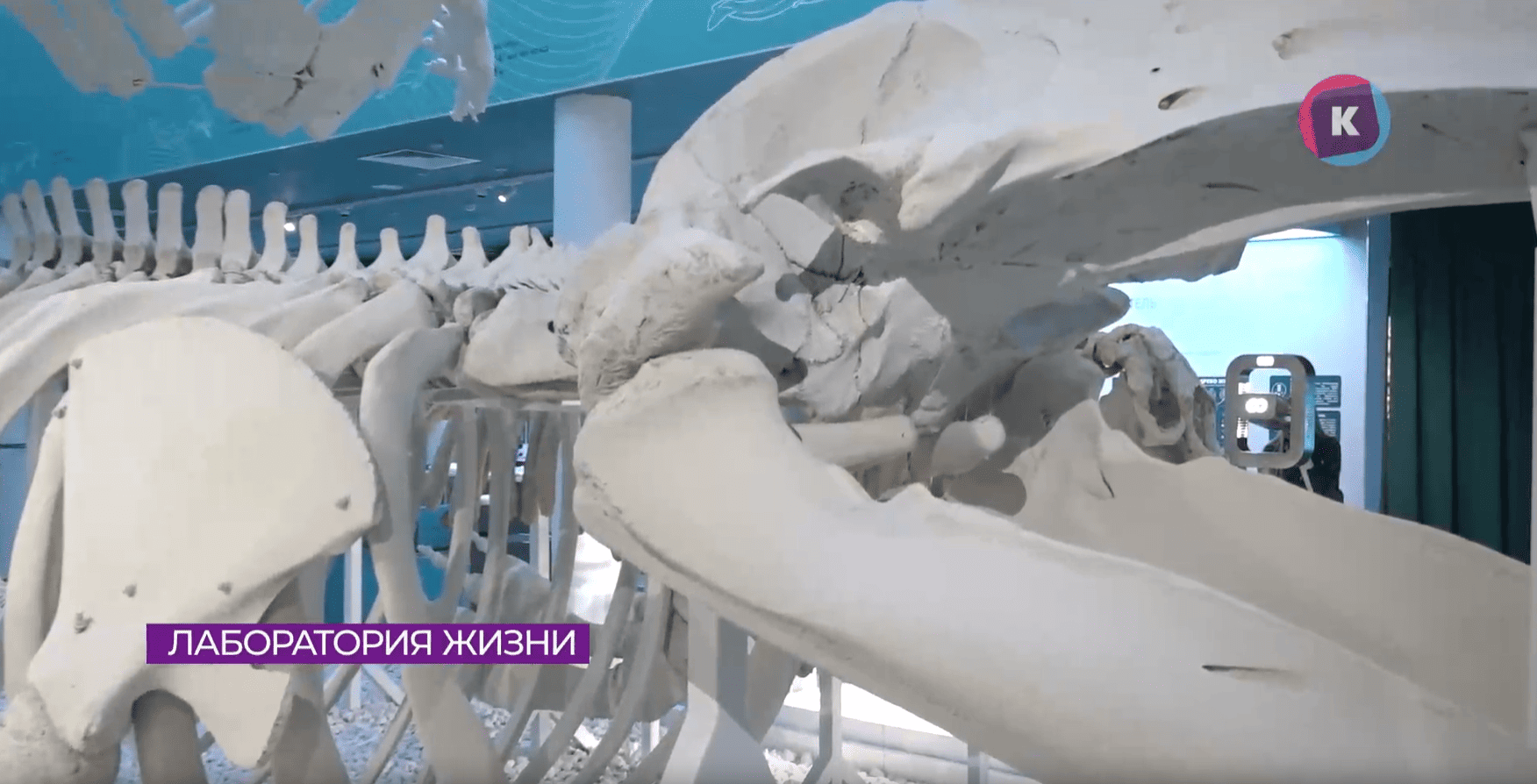 ммо2