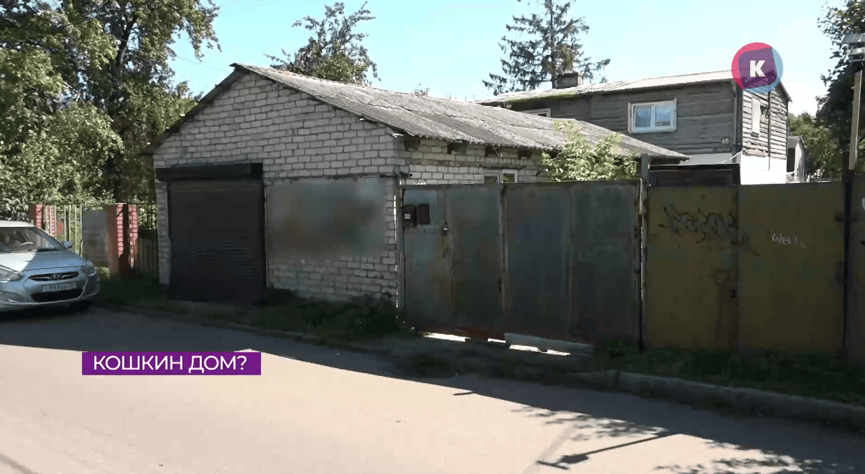 Прокуратура хочет закрыть неофициальный хоспис для кошек