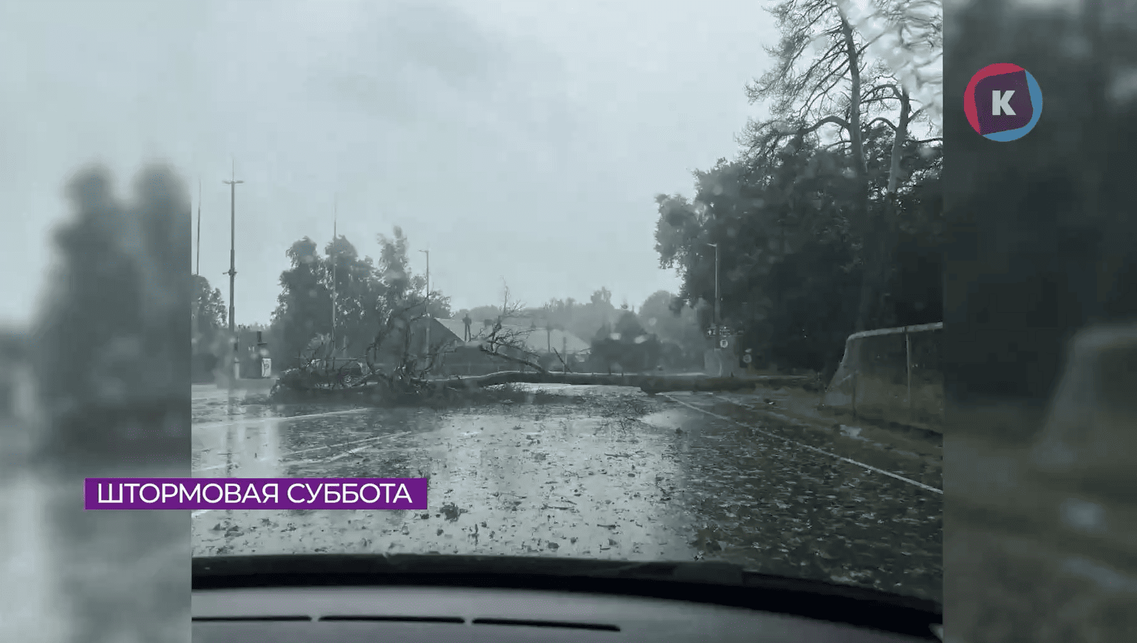 Более 500 поваленных деревьев убрали во время шторма