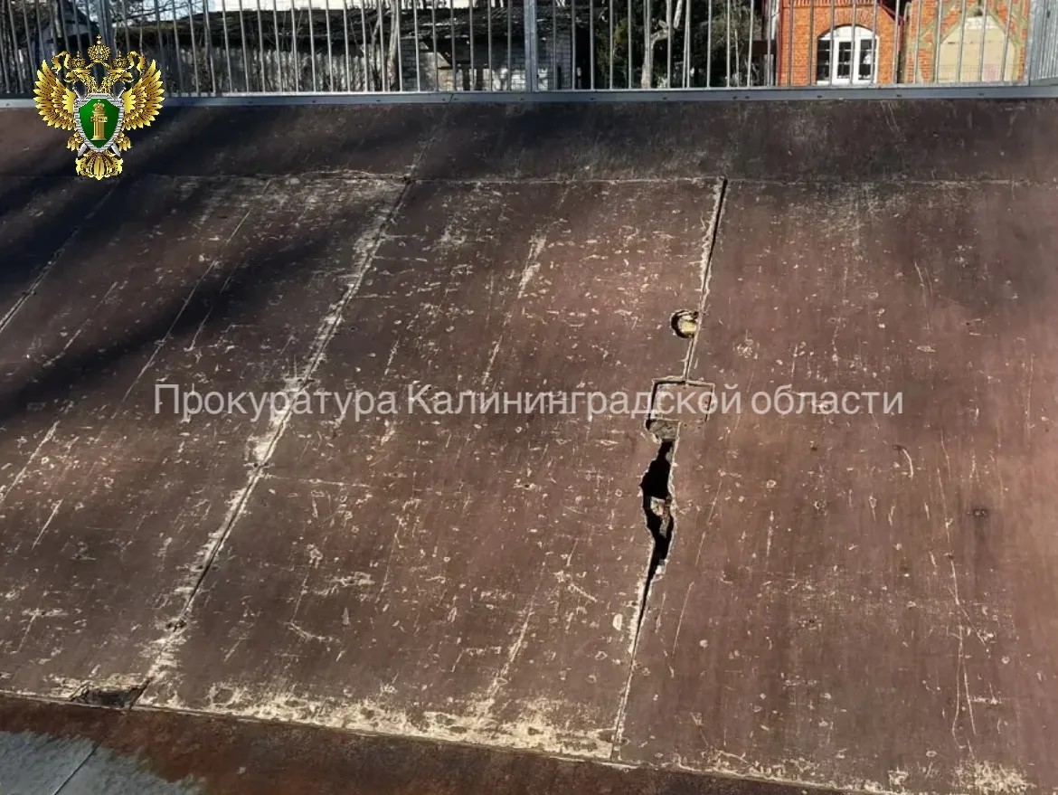 Администрация Краснознаменского округа выплатит 100 тысяч рублей за падение девочки на скейт-площадке Администрация Краснознаменского округа выплатит 100 тысяч рублей за падение девочки на скейт-площадке