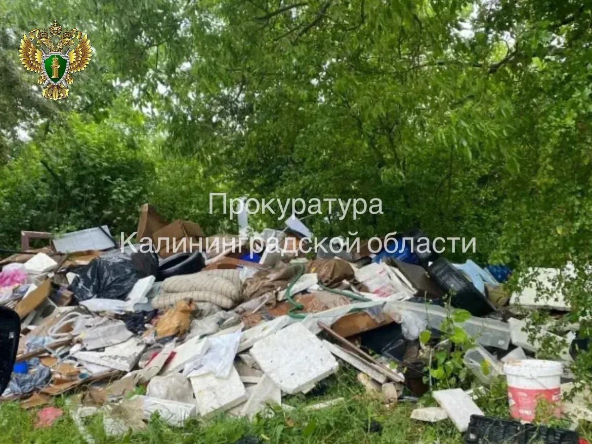 В Гурьевском округе ликвидировали свалку после вмешательства прокуратуры