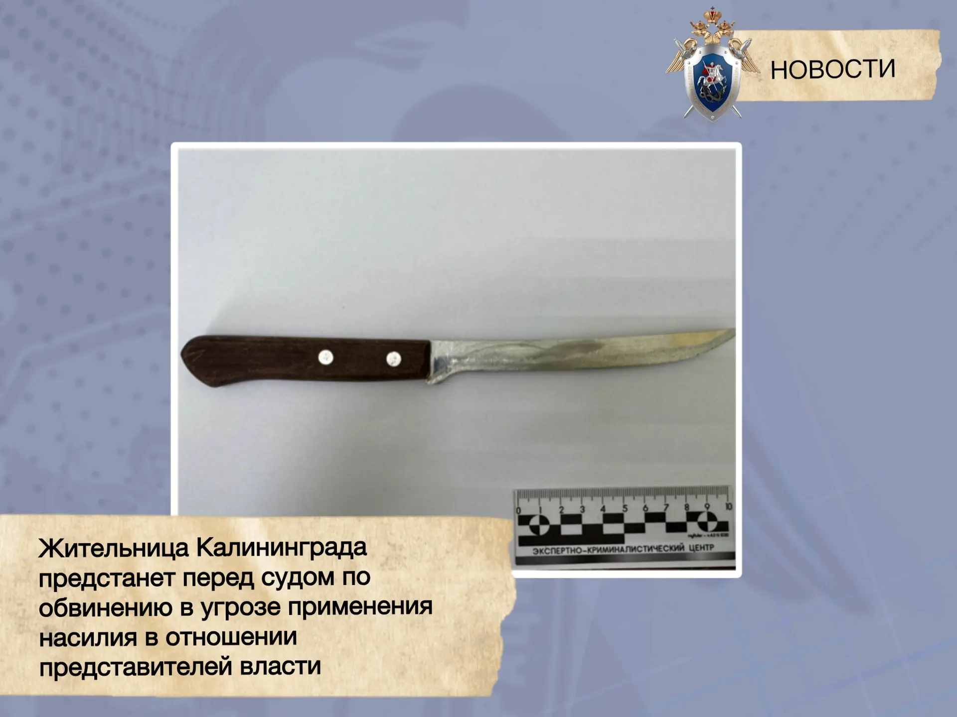 43-летнюю женщину будут судить за угрозы полицейским с ножом