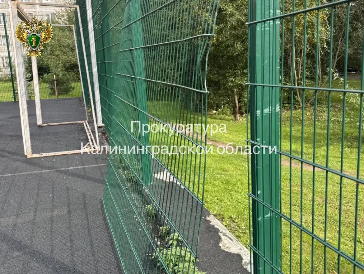 Прокуратура требует 100 тысяч рублей за травмы ребёнка на спортплощадке в Зеленоградске