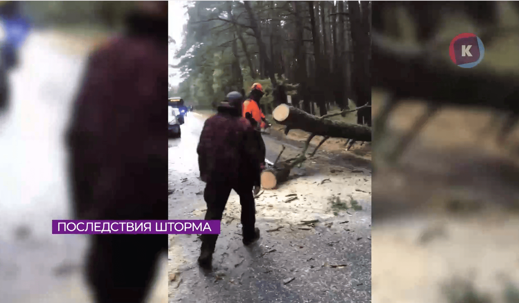 Пятничный шторм нахулиганил в Калининградской области