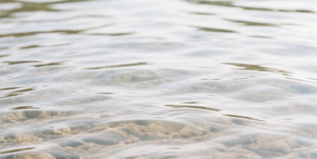 Минприроды проверило водоотведение в частном секторе у ручья Северного Минприроды проверило водоотведение в частном секторе у ручья Северного