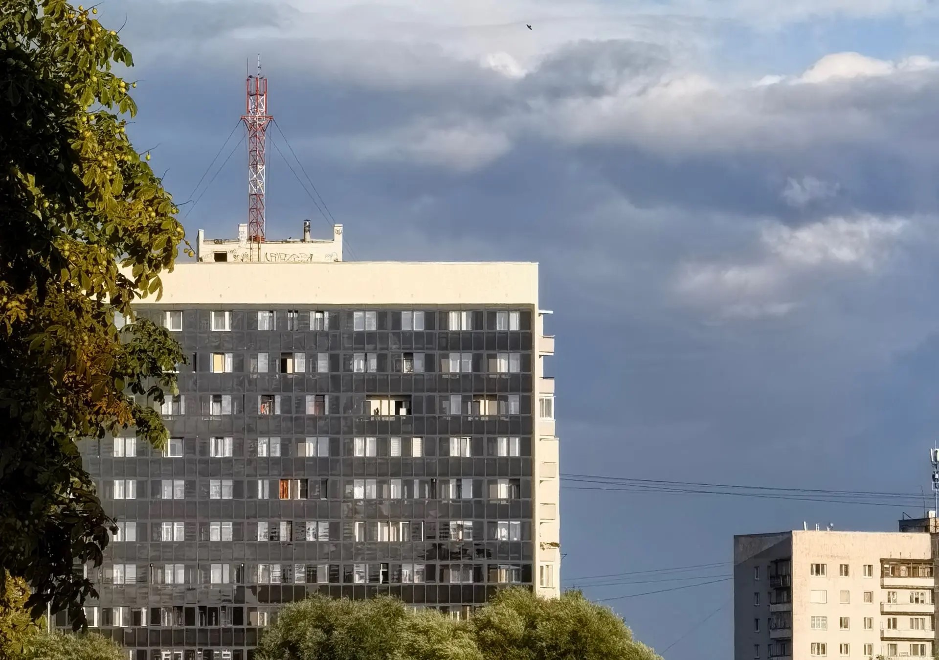 В Калининградской области усилят контроль за пешеходами и водителями