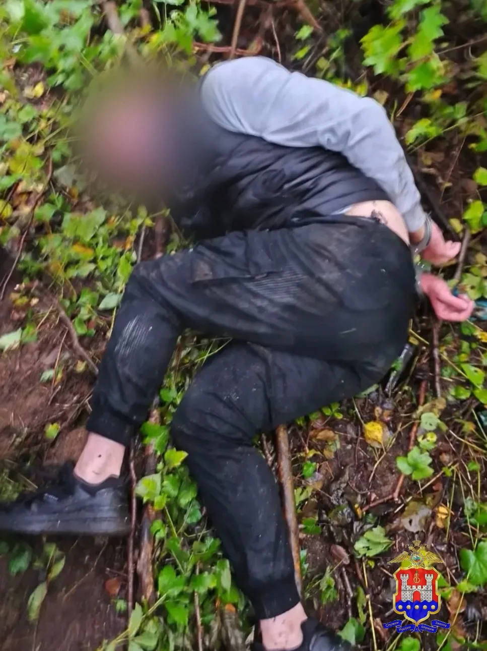 Полицейские задержали подозреваемого в серии краж с ущербом более 1 миллиона рублей Полицейские задержали подозреваемого в серии краж с ущербом более 1 миллиона рублей