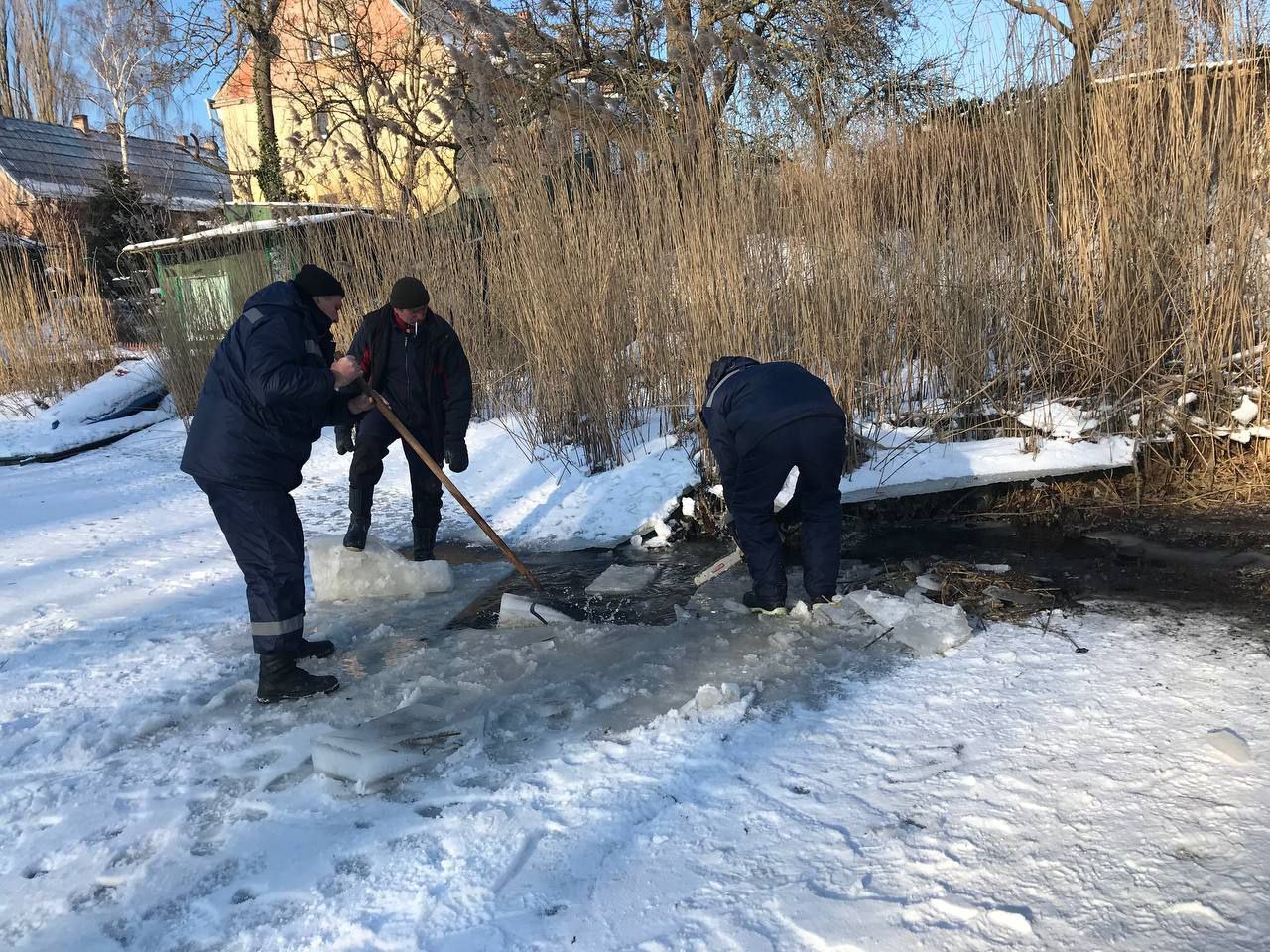 В Балтийске сделали прорубь во льду канала, ради спасения замерзающих птиц