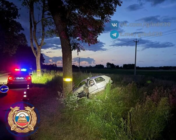 Под Правдинском автомобиль врезался в дерево Под Правдинском автомобиль врезался в дерево