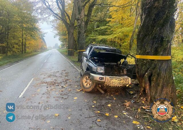 По дороге в Балтийск автомобилист влетел в дерево