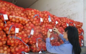 За неделю в Калининградскую область привезли 36 тысяч тонн продукции из 15 стран мира