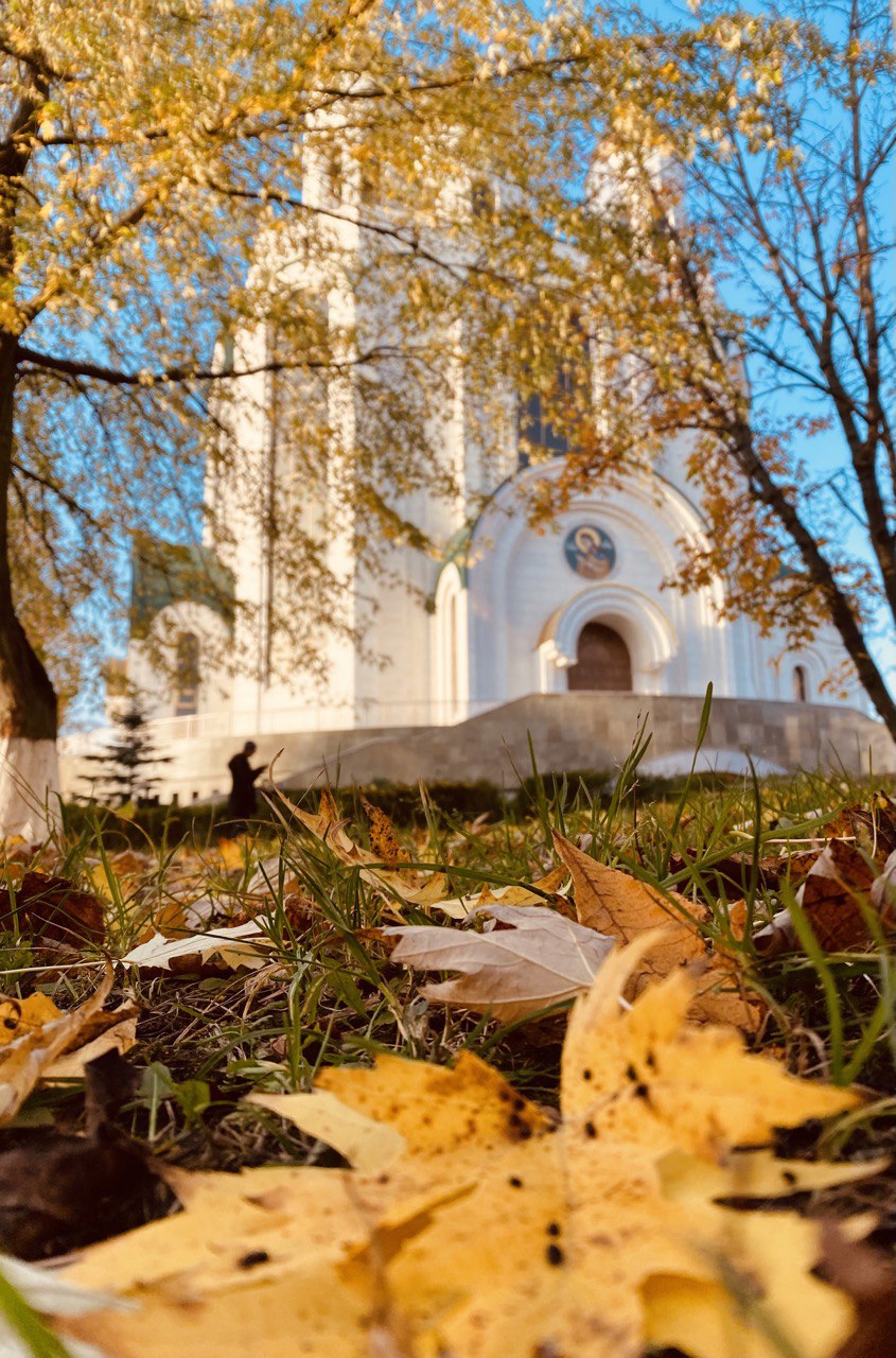 Каскад.тв - Что делать в Калининграде в сентябре