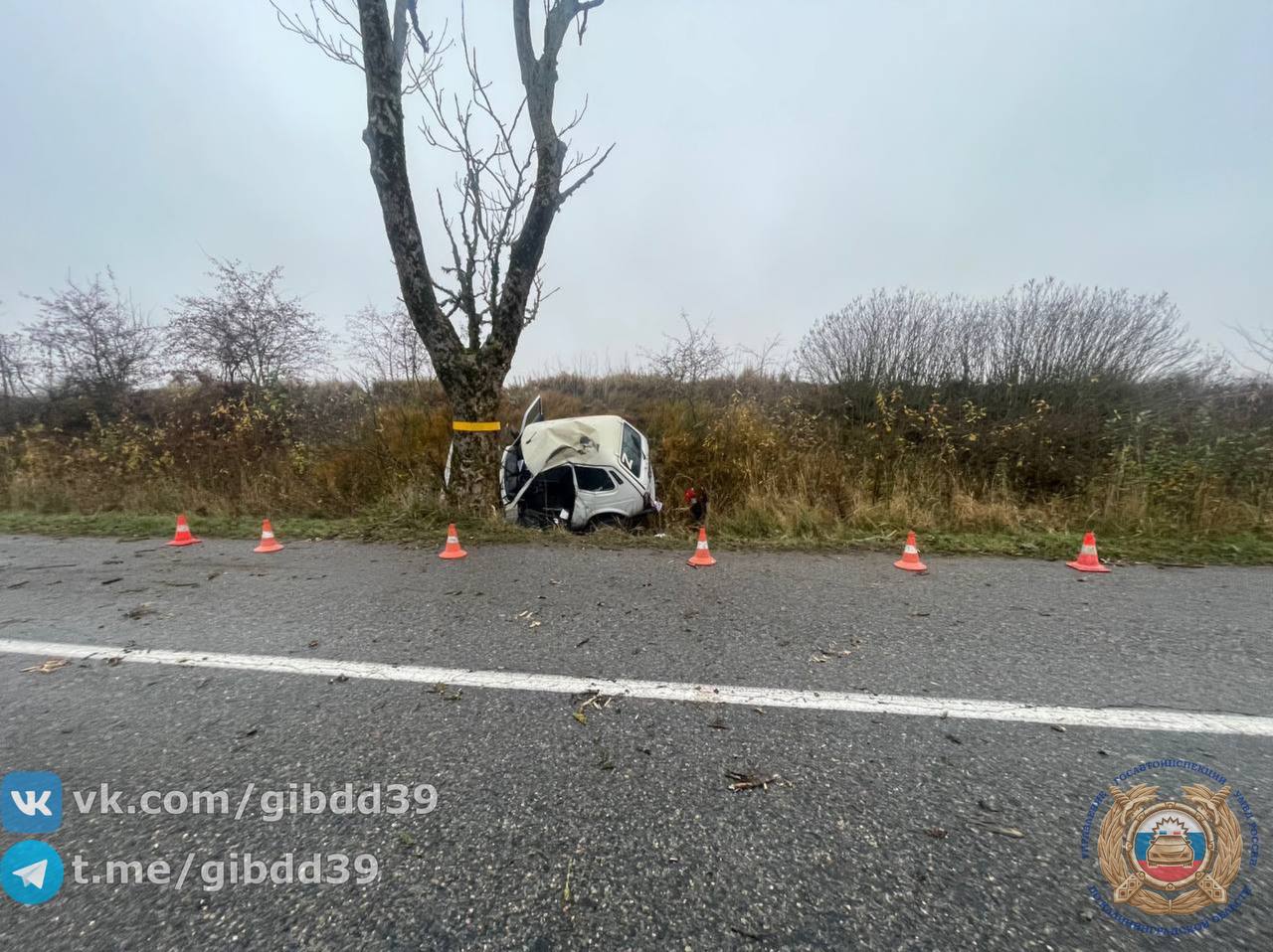 В Озерском районе разогнавшаяся легковушка врезалась в дерево