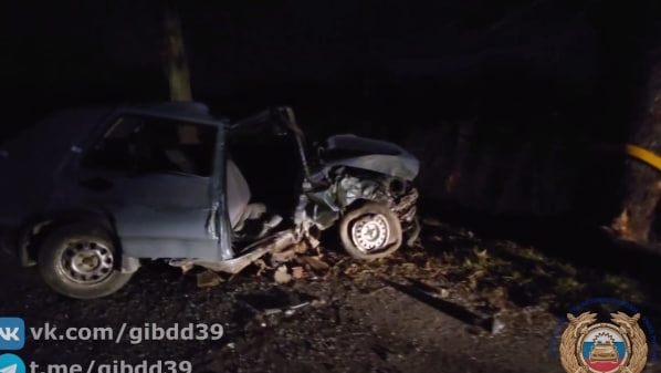 В Зеленоградском районе легковушка врезалась в дерево, пассажир погиб