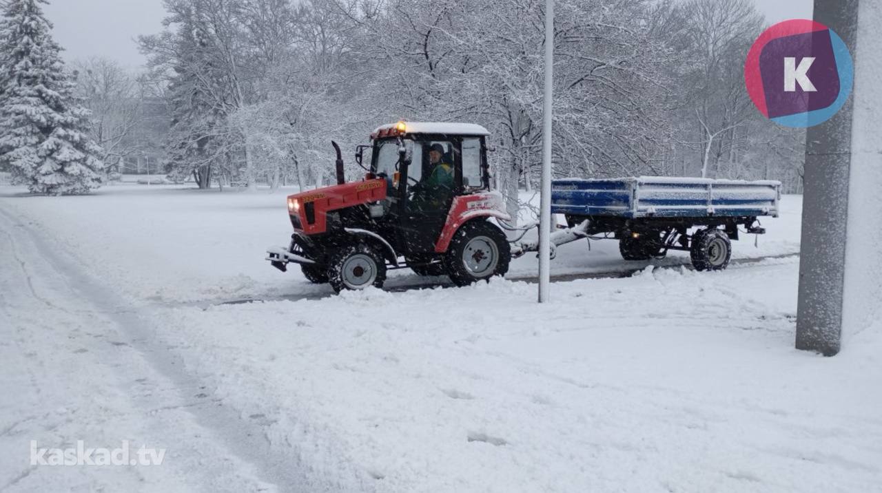 Максимум +6°C: какая погода ждет калининградцев на рабочей неделе