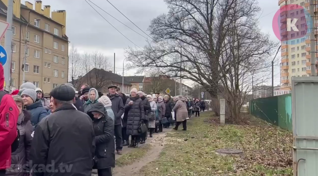 В Калининграде у пункта обслуживания проездной карты «Волна Балтики» образовалась стометровая очередь