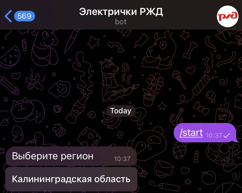 В Telegram заработал бот для покупки билетов на калининградские пригородные поезда