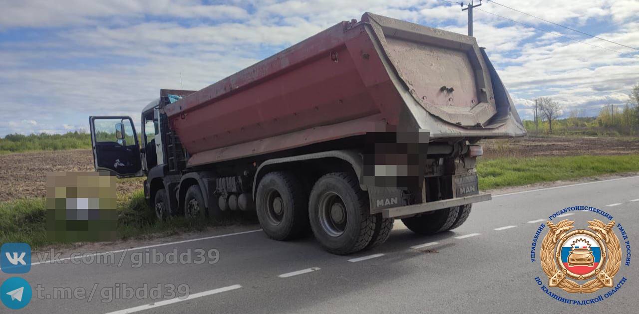 В Зеленоградском районе грузовик вылетел с дороги, водитель погиб