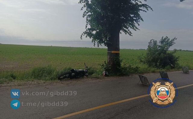 Два школьника на питбайке пострадали в аварии под Гурьевском 