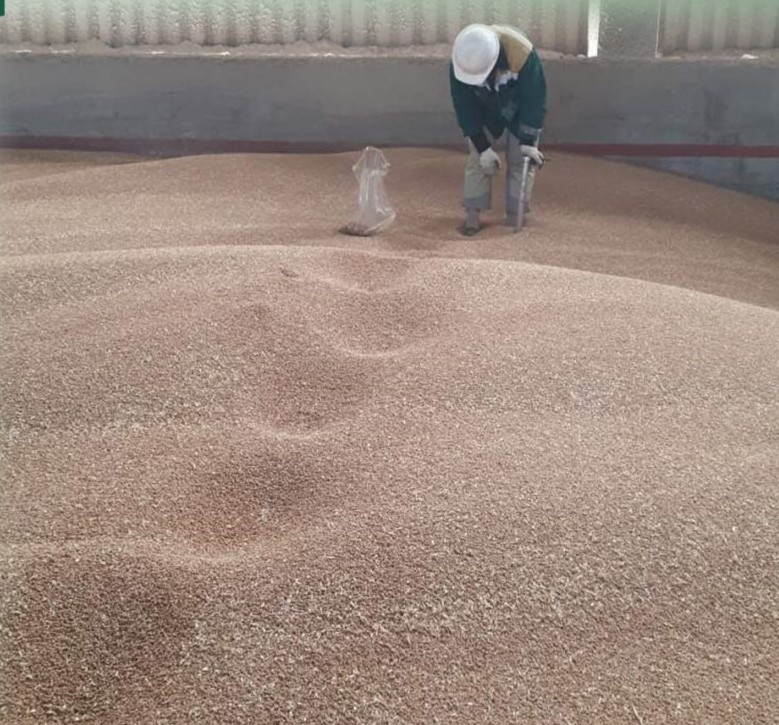 С начала года из Калининградской области вывезли свыше миллиона тонн продукции