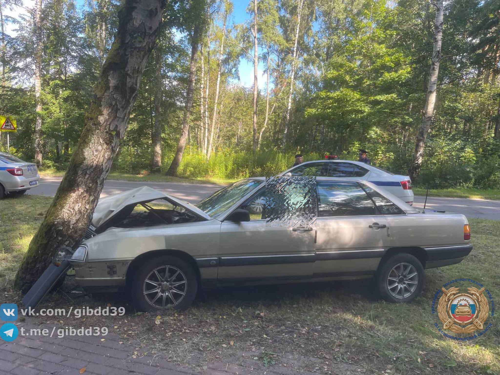 В Светлом легковушка съехала с дороги и влетела в дерево, водитель погиб